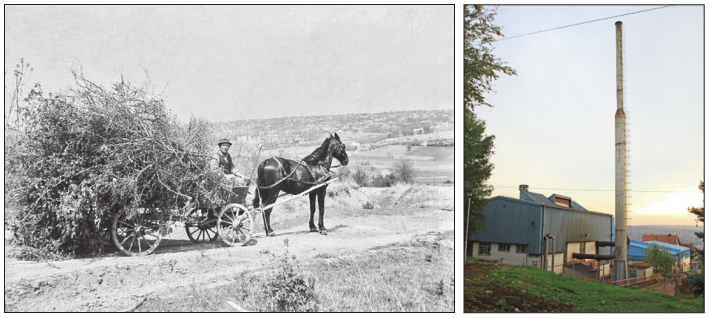 Dovoz drva za ogrev, Milan Đurić